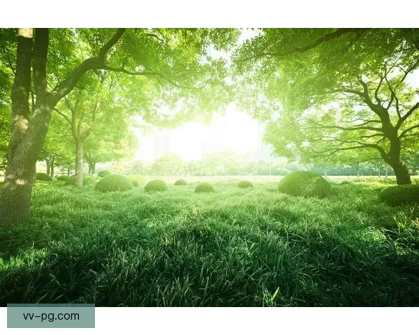 2026年世界杯绿色办赛白皮书全面解读与可持续实践探索